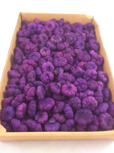 Mini pumpkin 750 gr. aubergine